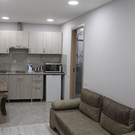 ティビリシFamily Apartamentアパートメント エクステリア 写真