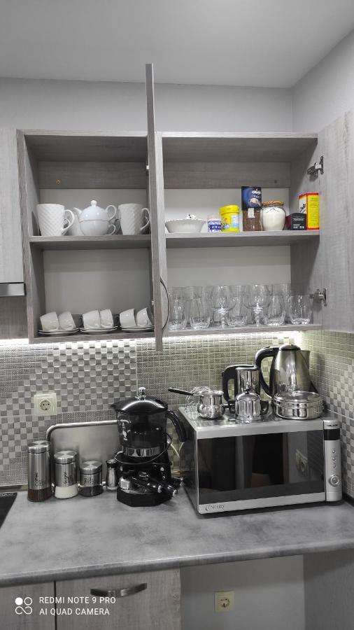 ティビリシFamily Apartamentアパートメント エクステリア 写真